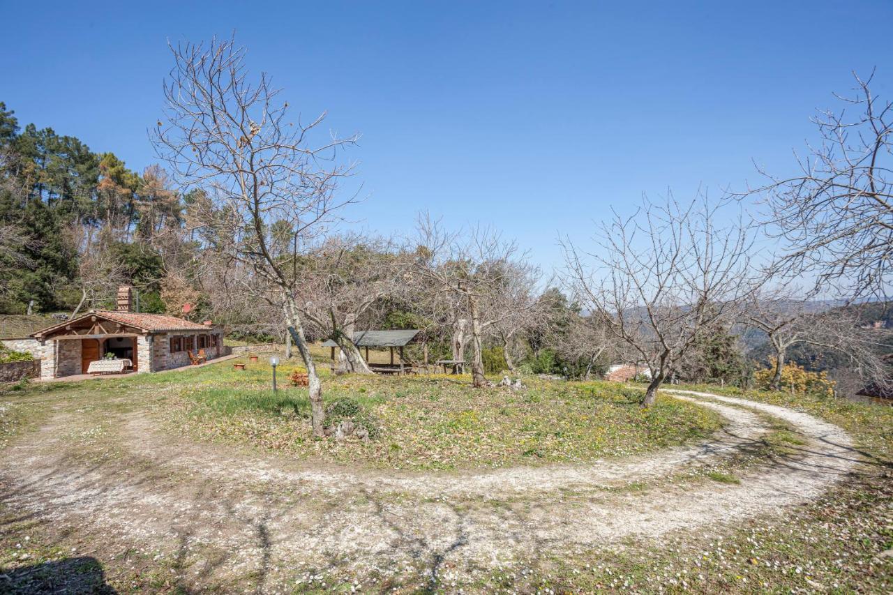 Casa Nel Bosco Villa Sassetta Eksteriør bilde