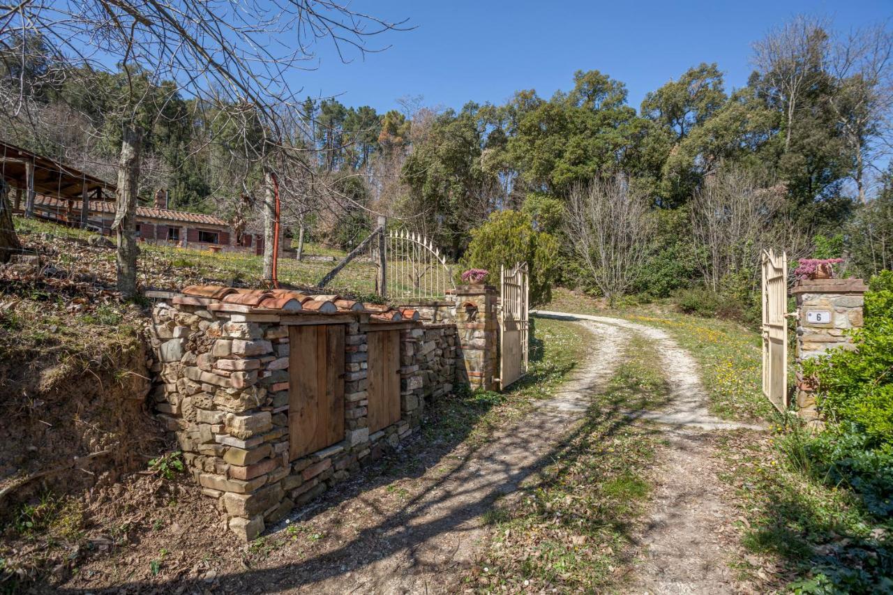Casa Nel Bosco Villa Sassetta Eksteriør bilde